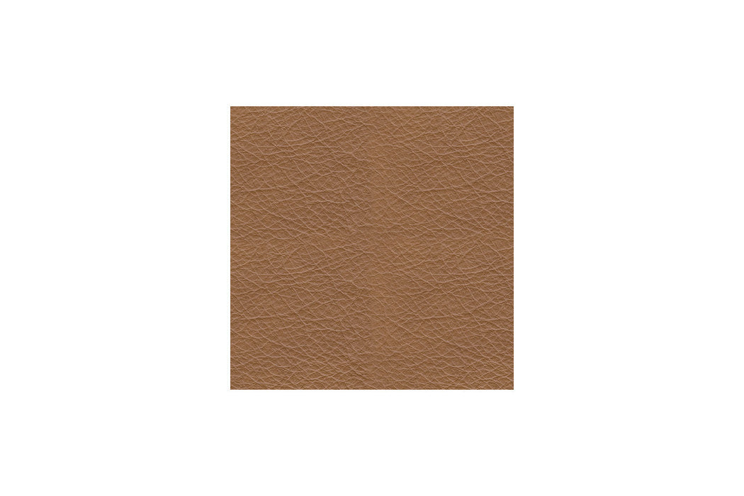 Tryanny Butterscotch Power Reclining Living Room Set