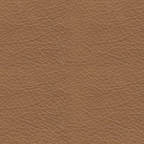 Tryanny Butterscotch Power Reclining Sofa