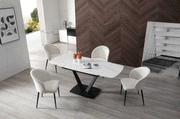 109 Dining Table With 2107 Chairs Set - DMV Furniture
