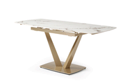109 Table Golden With 2107 Chairs Set - DMV Furniture