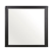 1381-6 Mirror - 1381-6