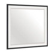 1456-6 Mirror - 1456-6