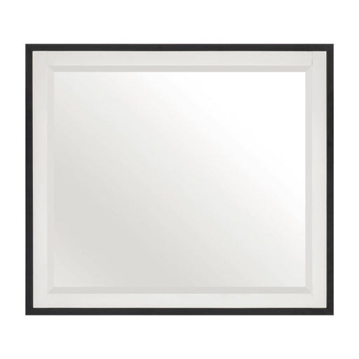 1456-6 Mirror - 1456-6