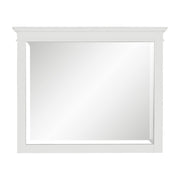 1675W-6 Mirror - 1675W-6
