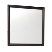 2145-6 Mirror - 2145-6