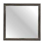 2145NP-6 Mirror - 2145NP-6