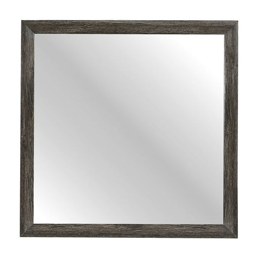 2145NP-6 Mirror - 2145NP-6