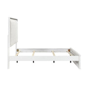 2390-1*9 5pc Set (QB+NS+DR+MR+CH) - 2390-1*9