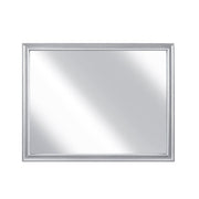 2434SV-6 Mirror - 2434SV-6