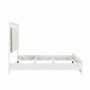 2469-1*4 4pc Set (QB+NS+DR+MR) - 2469-1*4