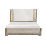 2496-1*4 4pc Set (QB+NS+DR+MR) - 2496-1*4