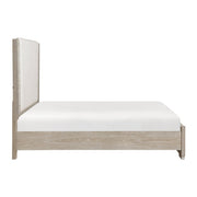 2496-1*4 4pc Set (QB+NS+DR+MR) - 2496-1*4