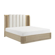 2500-1*4 4pc Set (QB+NS+DR+MR) - 2500-1*4