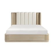 2500-1*4 4pc Set (QB+NS+DR+MR) - 2500-1*4