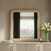 2500-6 Mirror - 2500-6