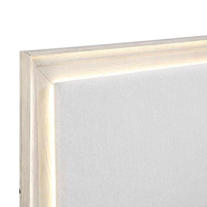 2501-1*4 4pc Set (QB+NS+DR+MR) - 2501-1*4