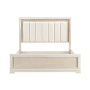 2506-1*4 4pc Set (QB+NS+DR+MR) - 2506-1*4