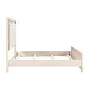 2506-1*4 4pc Set (QB+NS+DR+MR) - 2506-1*4