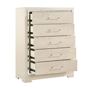 2506-1*9 5pc Set (QB+NS+DR+MR+CH) - 2506-1*9