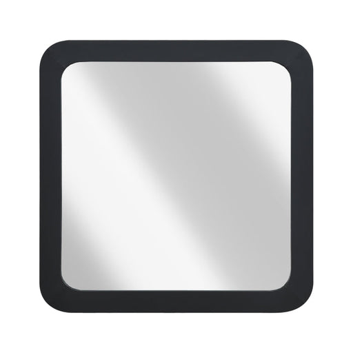 2518-6 Mirror - 2518-6