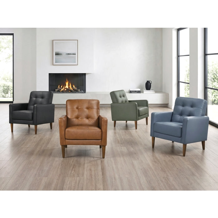 4208BLK-1 Accent Chair - 4208BLK-1