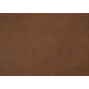 4208CAM-1 Accent Chair - 4208CAM-1