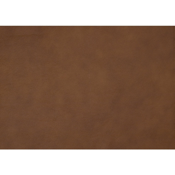 4208CAM-1 Accent Chair - 4208CAM-1