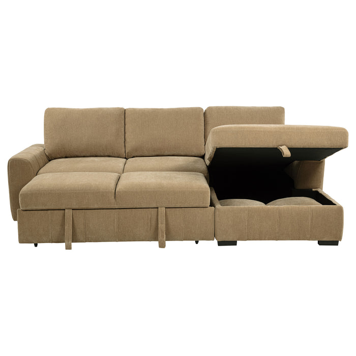Pastrana Pull-Out Sleeper Sectional Sofa