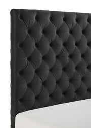 Josephine Black Queen Upholstered Panel Bed with TV Lift from Crown Mark - DMV Furniture