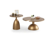 873 Gold 2 Pc Coffee Table Set - DMV FurnitureCoffee Table