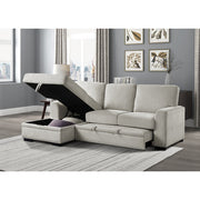 9468BE*2LC2R (2)2-Piece Sectional with Pull-out Bed and Left Chaise with Hidden Storage - 9468BE*2LC2R