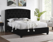 EVA King Bed Black Velvet image