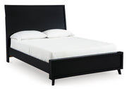 Danziar Black Panel Bedroom Set from Ashley - DMV Furniture