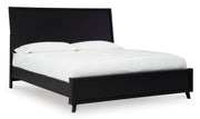 Danziar Black Panel Bedroom Set from Ashley - DMV Furniture