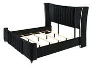 Armany Black Velvet Upholstered Bedroom Set from Crown Mark - DMV Furniture