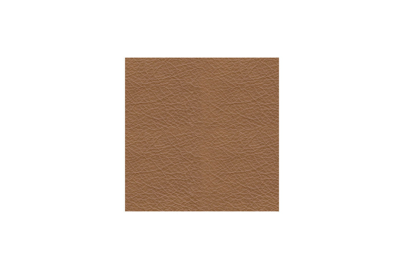 Tryanny Butterscotch Power Reclining Living Room Set