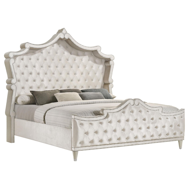 Antonella 5-piece Queen Bedroom Set Ivory  - 223521Q-S5