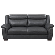 Arabella 2-piece Upholstered Padded Arm Sofa Set Grey - 506591-S2