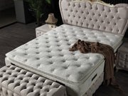Armada Storage Bed With Headboard Cream - Queen in Cream - 110-ARM-L01-150-SB