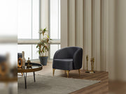 Astera Chair in Grey - 200-SIM-AST-VELVET412-B