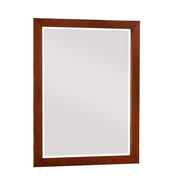 B2013DC-6 Mirror - B2013DC-6