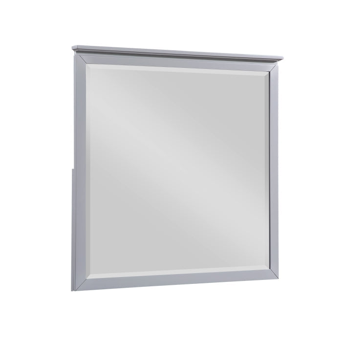 B2024GY-6 Mirror - B2024GY-6
