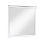B2024WH-6 Mirror - B2024WH-6