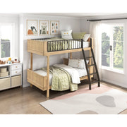 B2035-1* (4) Twin/Twin Bunk Bed - B2035-1*