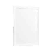B2053W-6 Mirror - B2053W-6