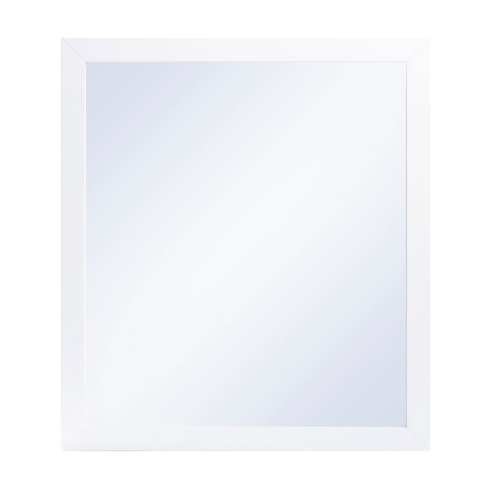 B2053W-6N Mirror, Wide - B2053W-6N