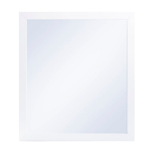 B2053W-6N Mirror, Wide - B2053W-6N