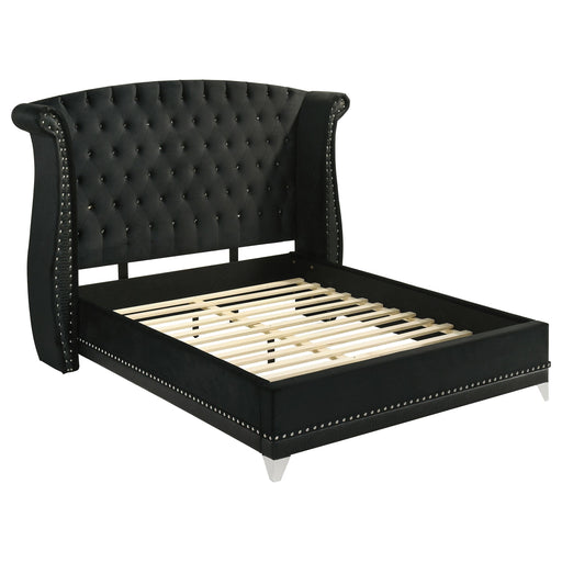 Barzini Upholstered Queen Wingback Bed Black - 300643Q