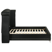 Barzini Upholstered Queen Wingback Bed Black - 300643Q