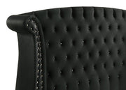 Barzini Upholstered Queen Wingback Bed Black - 300643Q